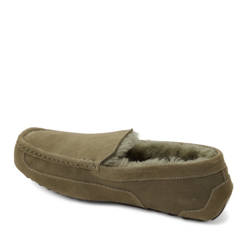 Loden